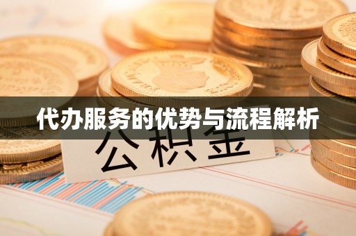龙湾代办服务的优势与流程解析