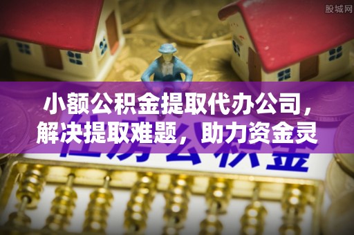 龙湾小额公积金提取代办公司，解决提取难题，助力资金灵活使用