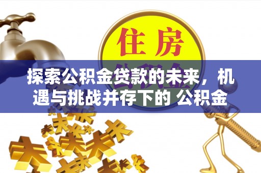 龙湾探索公积金贷款的未来，机遇与挑战并存下的 公积金贷款风险防控