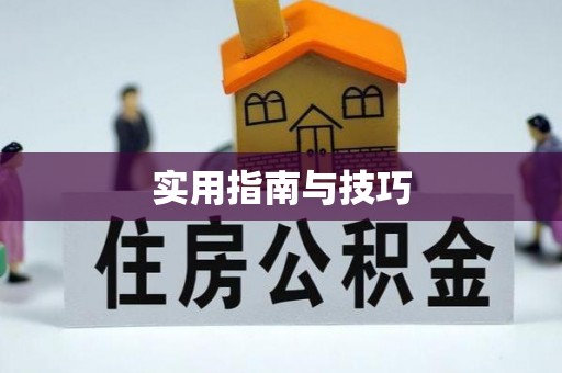 龙湾实用指南与技巧
