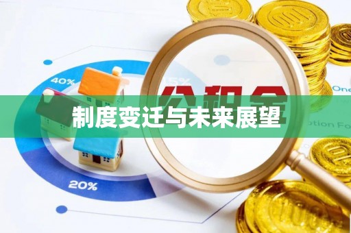 龙湾制度变迁与未来展望