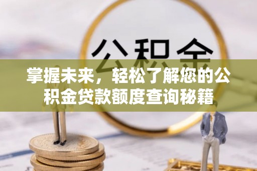 龙湾掌握未来，轻松了解您的公积金贷款额度查询秘籍