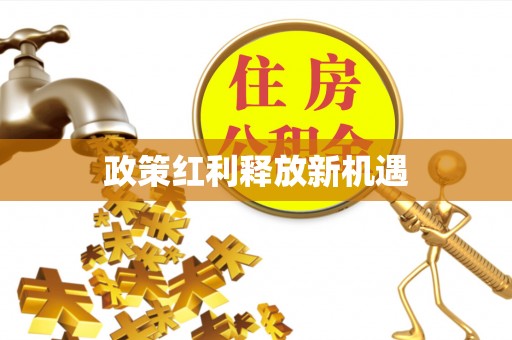 龙湾政策红利释放新机遇