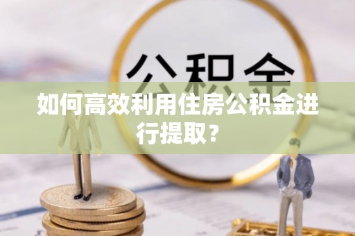 龙湾如何高效利用住房公积金进行提取？