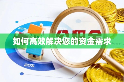 龙湾如何高效解决您的资金需求